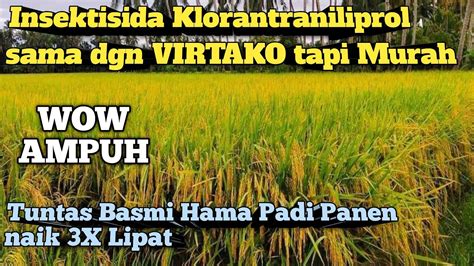 Insektisida Sama Dengan Virtako Tuntas Basmi Hama Padi Tapi Harga