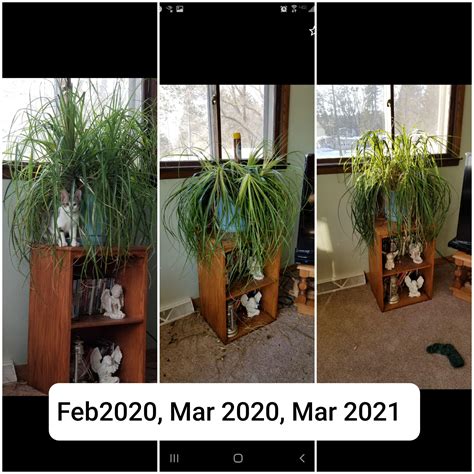 8394 best Cat 1 images on Pholder | 196, Aww and Cats