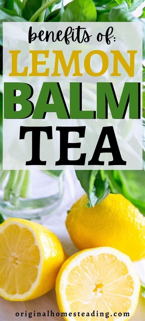 lemons and basil with text overlay that reads benefits of lemon balm tea