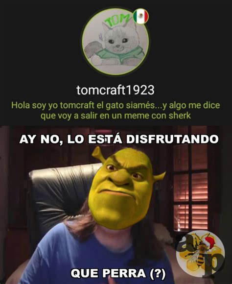 Mucha De Respeto El Gatito De Tomcraft1923 XD Meme By Antimateria