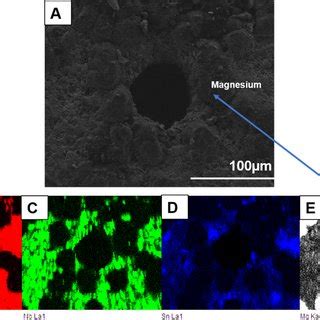 A Typical Sem Micrograph Of Tinbsn Alloy Be Elemental Map Of Ti Nb