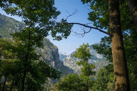 Mountain Landscape Picos De Europa Asturias Spain Stock Image