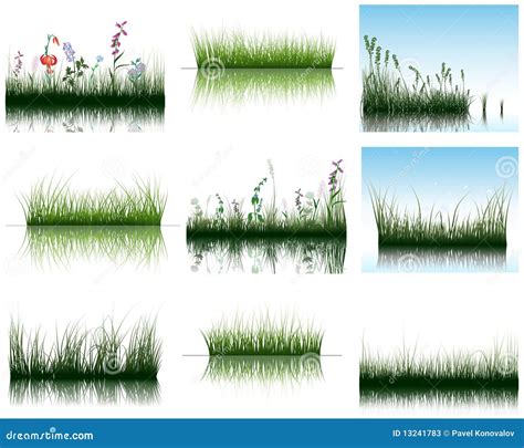 Grass On Water Stock Vector Illustration Of Borders 13241783