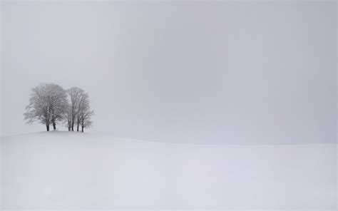 Wallpaper Trees Landscape White Monochrome Hill Nature Sky