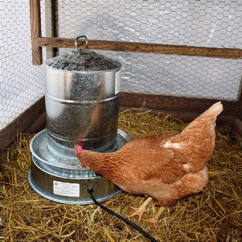 Poultry Heated Base | Farm Innovators