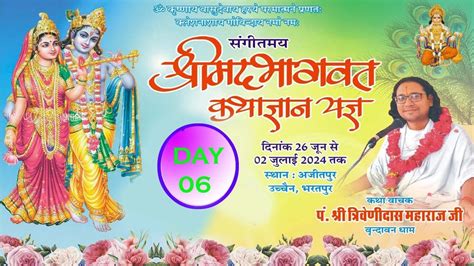 Day06 श्रीमद् भागवत कथा पं स्वामी श्री त्रिवेणीदास जी महाराज