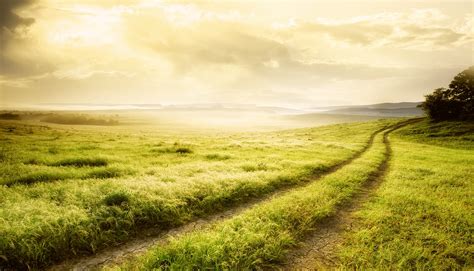 einfach ruetli stiftung