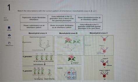 Solved Pedigree Analysis Is An Approach To Studying Human Chegg