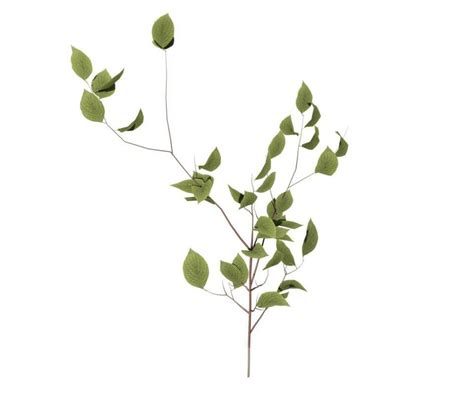 Dogwood Seedling 3 – SpeedTree