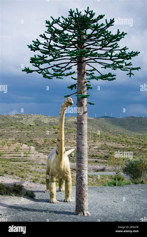 Replica Of Sauropod Camarasaurus Eating Leafs Of Araucaria Conifer Tree