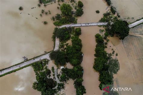 Ratusan Hektar Lahan Pertanian Terendam Banjir Akibat Luapan Sungai