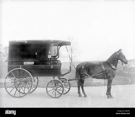 Antique C1900 Photograph Horse Drawn Ambulance Wagon Probably