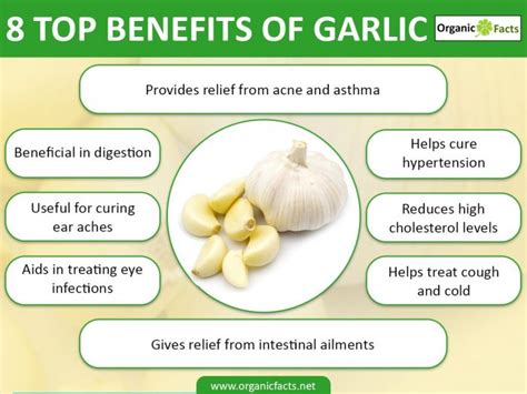 14 Powerful Benefits of Raw Garlic | Organic Facts
