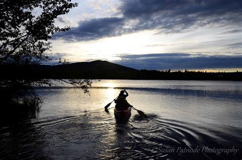 Alaska Wildlife Tour (9 Days) - Alaska Outdoors