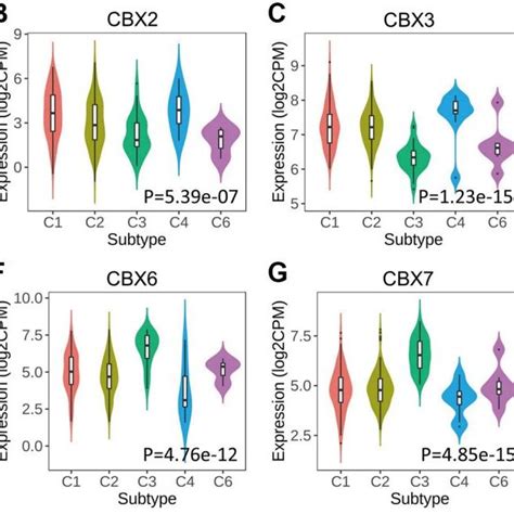 Relationship Between Cbxs And Immune Subtypes Across In Gastric Cancer