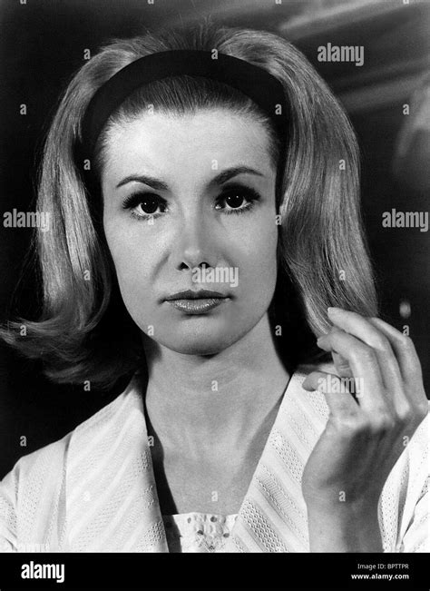 Susan Hampshire Hi Res Stock Photography And Images Alamy