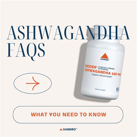 What You Need to Know About Ashwagandha - Xandro Lab