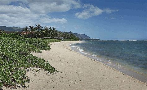 Waialua Lush Tropical Home For Sale North Shore Oahu