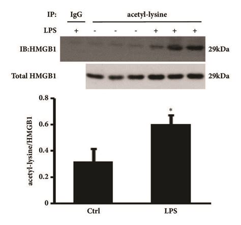 Acetylated HMGB1 Protein Levels In PD Patients And LPS Associated