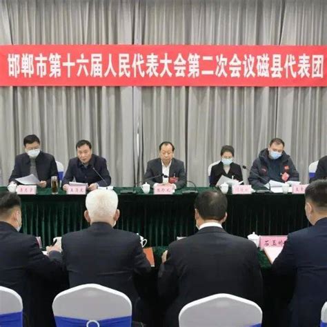 市十六届人大二次会议磁县代表团举行全体会议 推选陈珍礼为代表团团长 工作 县人大常委会 政治