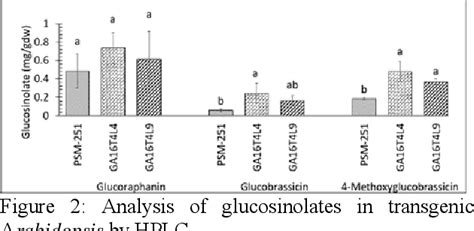 Figure 1 From Phenotypic Analysis Of Transgenic Arabidopsis With 2