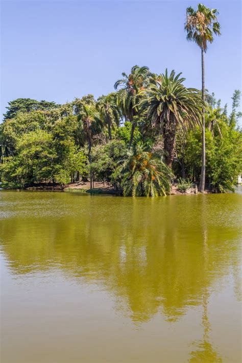 Lake in Bosques De Palermo Park Stock Image - Image of reflection ...