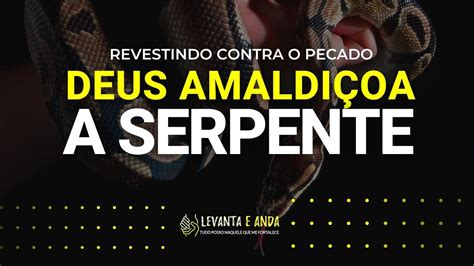 Deus AmaldiÇoa A Serpente Youtube