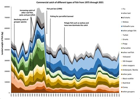 The Importance Of Marine Protected Areas Tnn