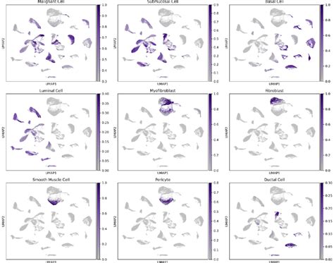 Unsupervised Classification Of Merged Dataset Umap Plots Of Top