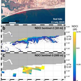 A Landsat 8 RGB Bands 4 3 2 Composite In The Study Region On 30