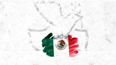 Iglesia Mexicana Fija Agenda Para Diálogo Nacional Por La Paz En