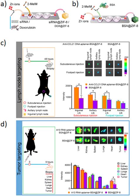 Design Of Functional Nanoparticles By Microfluidic Platforms As Advanced Drug Delivery Systems