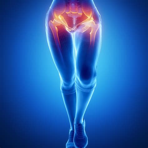 The Importance Of Your Hip Joint