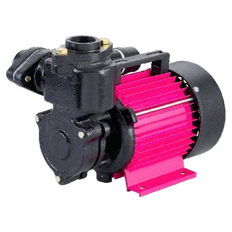 Cri 1 0hp Shine 100 Psm 7 1ph Self Priming Monoblock Pump At Best