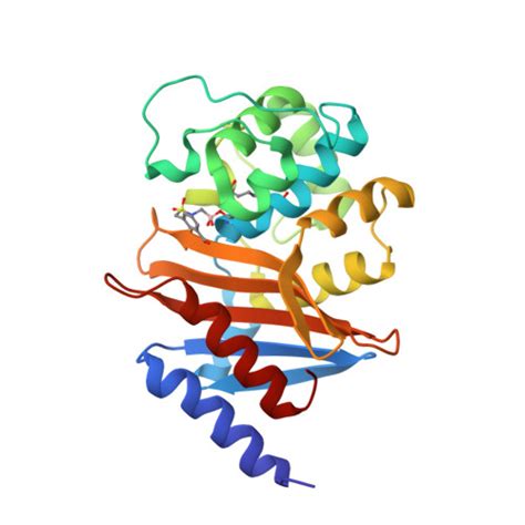 RCSB PDB 8CUL Xray Ray Crystal Structure Of OXA 24 40 In Complex