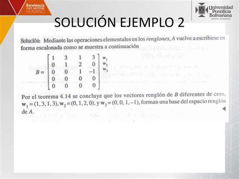 Rango Y Nulidad De Una Matriz PPT