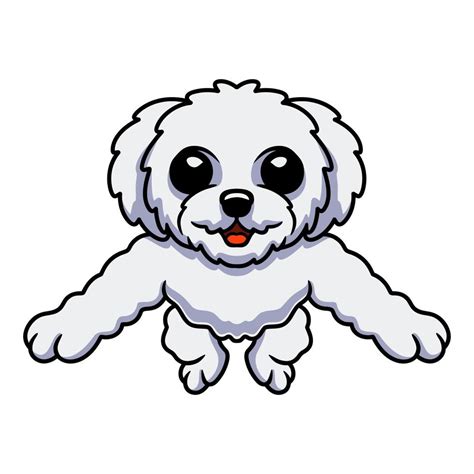 Cute bichon frise cartoon posing 16834844 Vector Art at Vecteezy