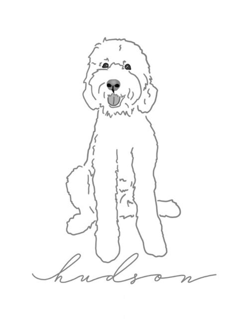 Goldendoodle Dog Pages Coloring Pages