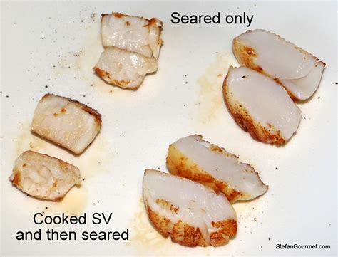 How Do You Tell If Scallops Are Undercooked 2022 Qaqookingwiki