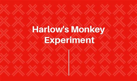 Harlow’s Monkey Experiment | Harry Harlow | 1950s | University of ...