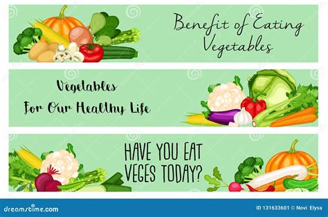 Health Benefits of Vegetable Banner Set Stock Vector - Illustration of nutrition, fruit: 131633601