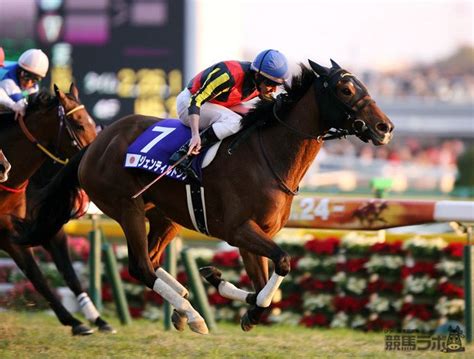 【有馬記念】レース後にジェンティルドンナの引退式を開催 トピックス 競馬ラボ サラブレッド 競走馬 かっこいい馬の画像集