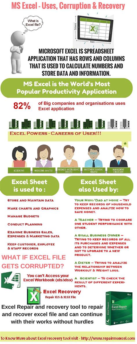 MS Excel – Uses, Corruption & Recovery - Infographic Portal