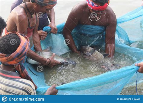 Pescadores Capturando Peces Grandes En La Pesca Comunitaria Neta En