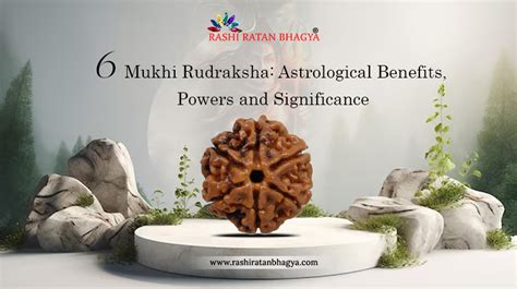 6 Mukhi Rudraksha Significance And Benefits