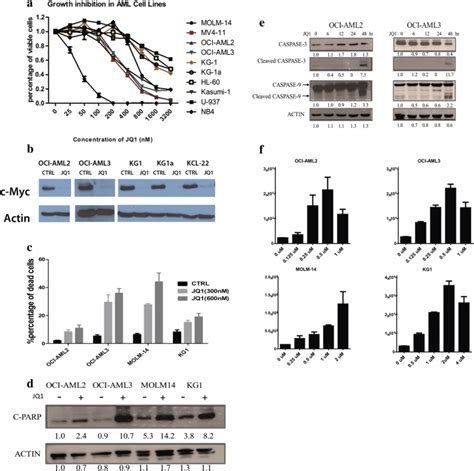 Jq Inhibits Growth And Induces Apoptosis In Aml Cell Lines A Aml Cell