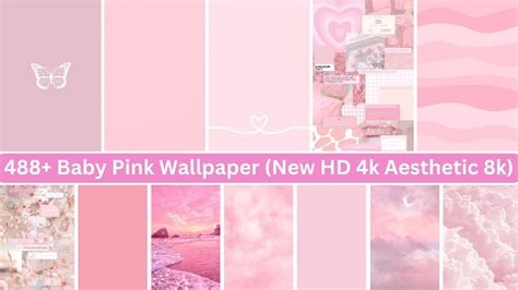 Light Pink Wallpaper Desktop Infoupdate Org