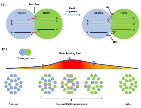 Nanomaterials Free Full Text Heterophase Polymorph Of Tio2 Anatase Rutile Brookite Tio2