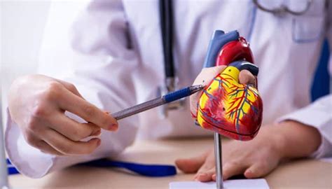 Understanding Heart Valve Disease: Symptoms, diagnosis, and life after ...