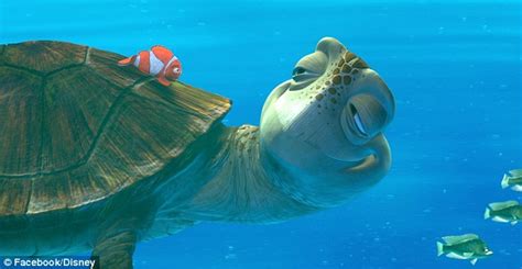 Turtle From Finding Nemo Quotes. QuotesGram